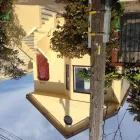 Business 18 image DIAGRAM HOME PAINTING AND REMODELING Plumber in San Francisco CA