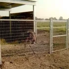 Business 3 image DIAMOND FENCE CO. in Redlands CA