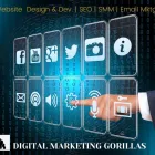 Business 1 image DIGITAL MARKETING GORILLAS Website Development in North Aurora IL