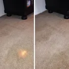 Business 1 image DIRT FREE CARPET Pet Odor Cleaning in Houston TX