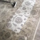 Business 2 image DIRT FREE CARPET Pet Odor Cleaning in Houston TX