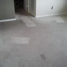 Business 4 image DIRT FREE CARPET Pet Odor Cleaning in Houston TX