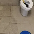 Business 6 image DIRT FREE CARPET Pet Odor Cleaning in Houston TX