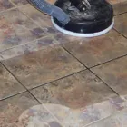 Business 7 image DIRT FREE CARPET Pet Odor Cleaning in Houston TX