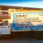 Business 8 image DIRT FREE CARPET Pet Odor Cleaning in Houston TX