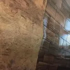 Business 11 image DIRT FREE CARPET Pet Odor Cleaning in Houston TX