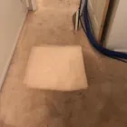 Business 13 image DIRT FREE CARPET Pet Odor Cleaning in Houston TX