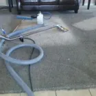 Business 14 image DIRT FREE CARPET Pet Odor Cleaning in Houston TX