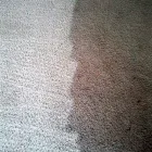 Business 15 image DIRT FREE CARPET Pet Odor Cleaning in Houston TX