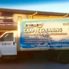 Business 17 image DIRT FREE CARPET Pet Odor Cleaning in Houston TX