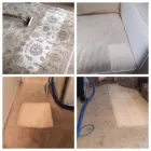 Business 18 image DIRT FREE CARPET Pet Odor Cleaning in Houston TX