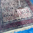 Business 19 image DIRT FREE CARPET Pet Odor Cleaning in Houston TX