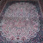 Business 22 image DIRT FREE CARPET Pet Odor Cleaning in Houston TX