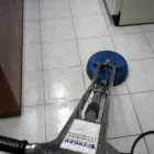 Business 23 image DIRT FREE CARPET Pet Odor Cleaning in Houston TX