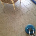 Business 27 image DIRT FREE CARPET Pet Odor Cleaning in Houston TX