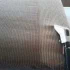 Business 28 image DIRT FREE CARPET Pet Odor Cleaning in Houston TX