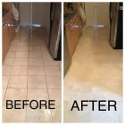 Business 30 image DIRT FREE CARPET Pet Odor Cleaning in Houston TX