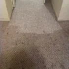 Business 31 image DIRT FREE CARPET Pet Odor Cleaning in Houston TX