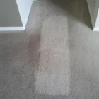 Business 34 image DIRT FREE CARPET Pet Odor Cleaning in Houston TX