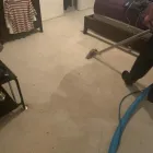 Business 36 image DIRT FREE CARPET Pet Odor Cleaning in Houston TX