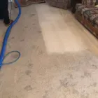 Business 37 image DIRT FREE CARPET Pet Odor Cleaning in Houston TX