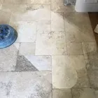 Business 39 image DIRT FREE CARPET Pet Odor Cleaning in Houston TX