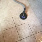 Business 40 image DIRT FREE CARPET Pet Odor Cleaning in Houston TX