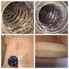 Business 42 image DIRT FREE CARPET Pet Odor Cleaning in Houston TX