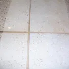 Business 48 image DIRT FREE CARPET Pet Odor Cleaning in Houston TX