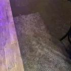 Business 50 image DIRT FREE CARPET Pet Odor Cleaning in Houston TX