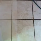 Business 52 image DIRT FREE CARPET Pet Odor Cleaning in Houston TX