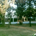 Business 1 image DITTO ELEMENTARY SCHOOL - ARLINGTON INDEPENDENT SCHOOL DISTRICT Schools in Arlington TX