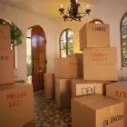 Business 8 image DIVINE MOVING AND LABOR SERVICES LLC Used Office Furniture in Lakewood CO