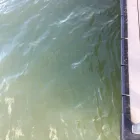 Business 37 image DOCKS BY ARI Painting Contractors in Horseshoe Bay TX