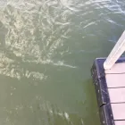 Business 38 image DOCKS BY ARI Painting Contractors in Horseshoe Bay TX