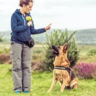 Business 7 image DOG BEHAVIORIST ORANGE COUNTY Pet Training in East Irvine CA