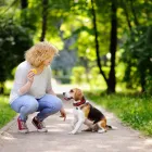 Business 3 image DOG BEHAVIORIST ORANGE COUNTY Pet Training in East Irvine CA