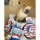 Business 3 image DOG DISH dog food sticks in Tulsa OK