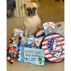 Business 6 image DOG DISH dog food sticks in Tulsa OK
