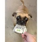 Business 10 image DOG DISH dog food sticks in Tulsa OK