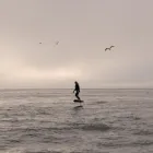 Business 3 image DOGPATCH FOIL Business & Professional Services in San Francisco CA