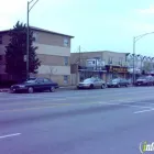 Business 1 image DOLORES THE FLORIST INC Florists in Chicago IL