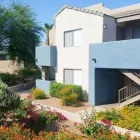 Business 1 image DOMAIN 3201 Real Estate Services in Tucson AZ