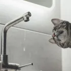 Business 7 image DON THE PLUMBER AND DRAIN CLEANING SERVICES in Arlington TX