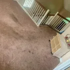 Business 1 image DOUGLAS CARPET & UPHOLSTERY CLEANING SERVICE Wood Flooring in Chicago IL