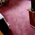 Business 3 image DOUGLAS CARPET & UPHOLSTERY CLEANING SERVICE Wood Flooring in Chicago IL