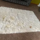 Business 4 image DOUGLAS CARPET & UPHOLSTERY CLEANING SERVICE Wood Flooring in Chicago IL