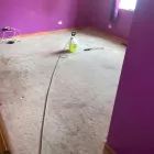 Business 7 image DOUGLAS CARPET & UPHOLSTERY CLEANING SERVICE Wood Flooring in Chicago IL