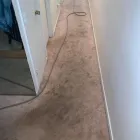 Business 8 image DOUGLAS CARPET & UPHOLSTERY CLEANING SERVICE Wood Flooring in Chicago IL
