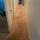 Business 15 image DOUGLAS CARPET & UPHOLSTERY CLEANING SERVICE Wood Flooring in Chicago IL